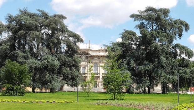 Polimi Fest 2017: Cinema sotto le stelle