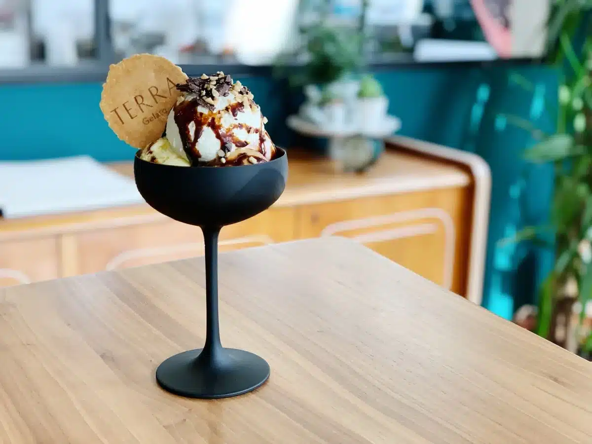 gelaterie milano - Terra Gelato