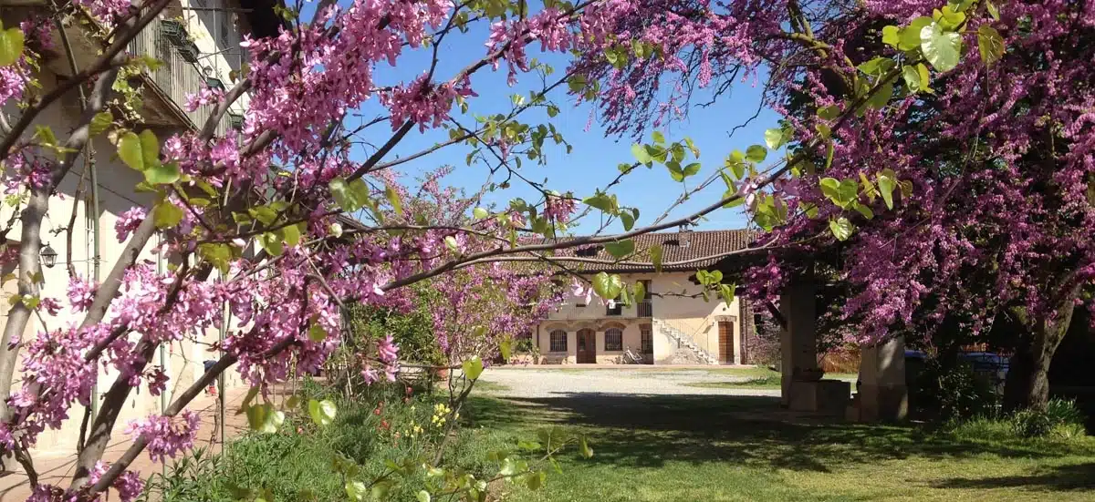 Cascine Milano - Cascina Santa Brera