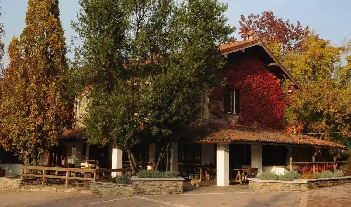 fattoria Pasquè