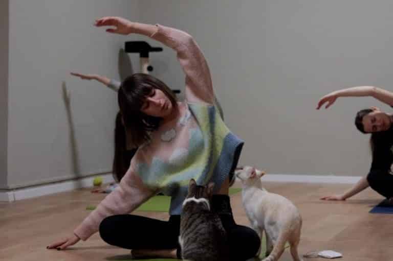 Maryosul centro Yoga Milano