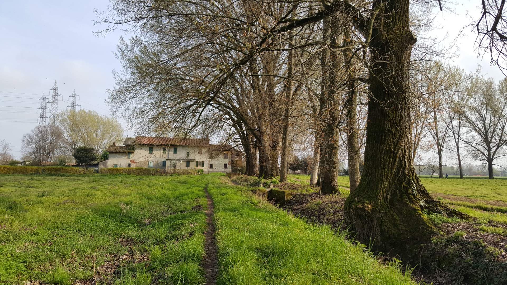 giornata della poesia