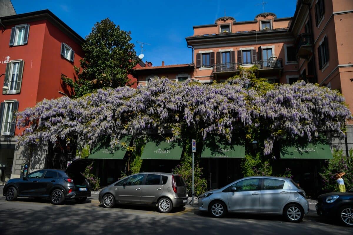 Viale Elvezia e Porta Volta