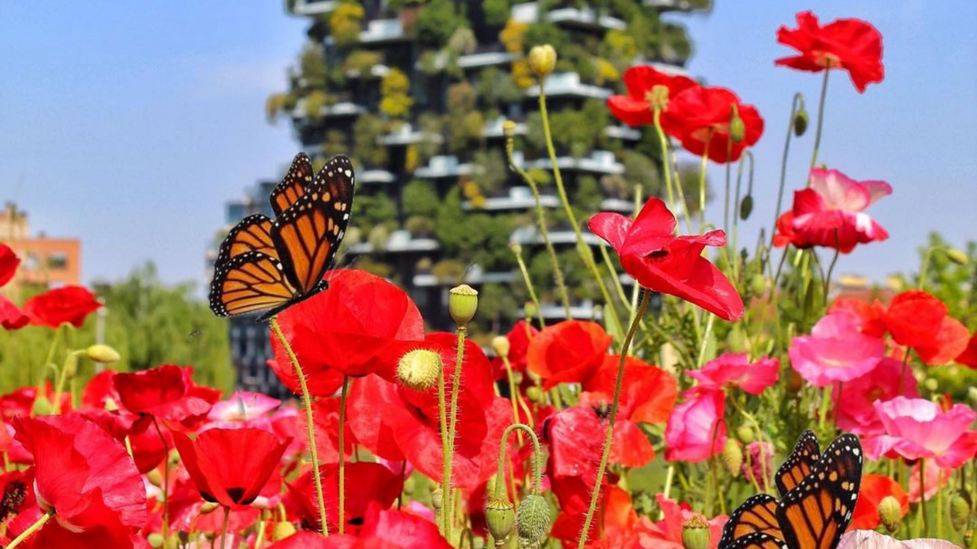 Posti instagrammabili a Milano: 5 luoghi in fiore spettacolari per le tue foto