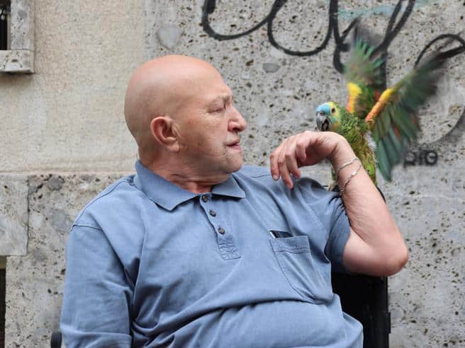 Francesco, da soldato a Kabul a migliore amico di un pappagallo