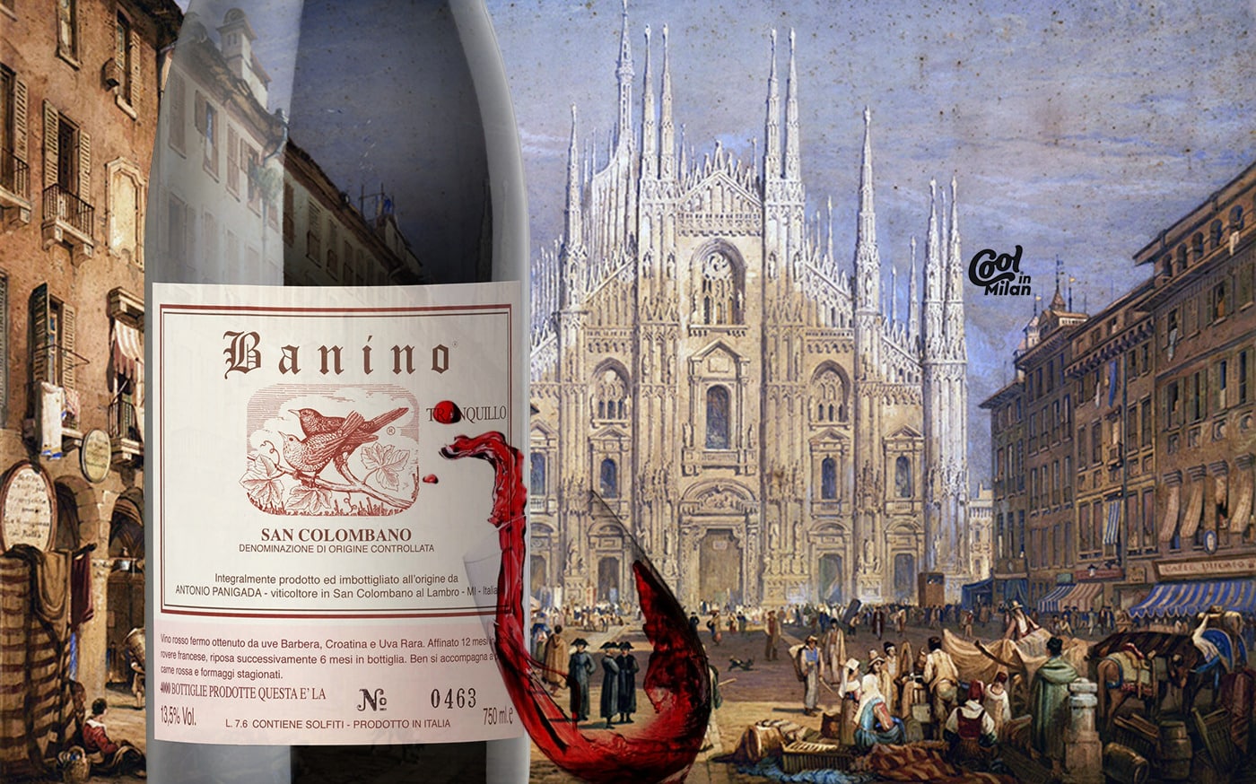 “El vin de Milan” di San Colombano: il vero vino di Milano