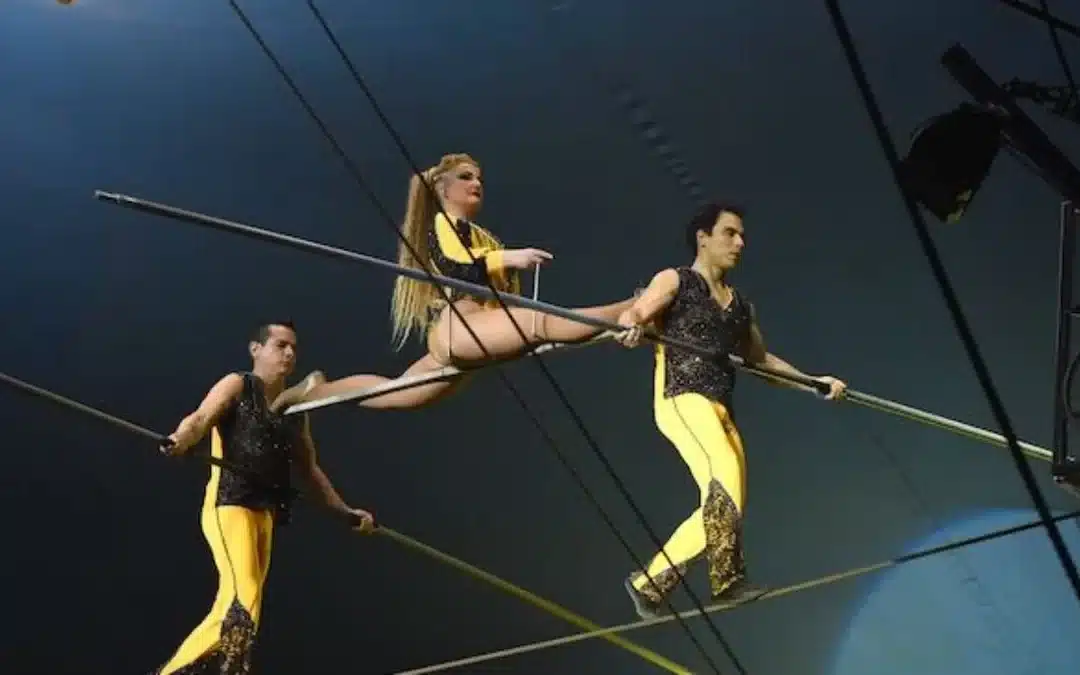 Gravity Circus a Milano: sogno o realtà?