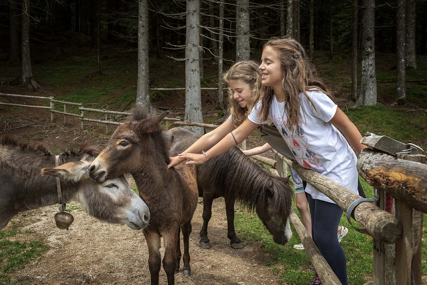 Il Villaggio Contadino a Milano: Pet Therapy e piatti campagnoli