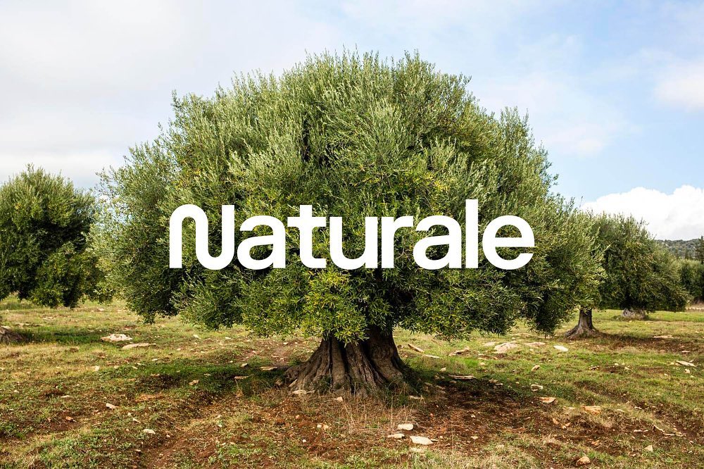 Naturale festival Milano: tra arte e vino