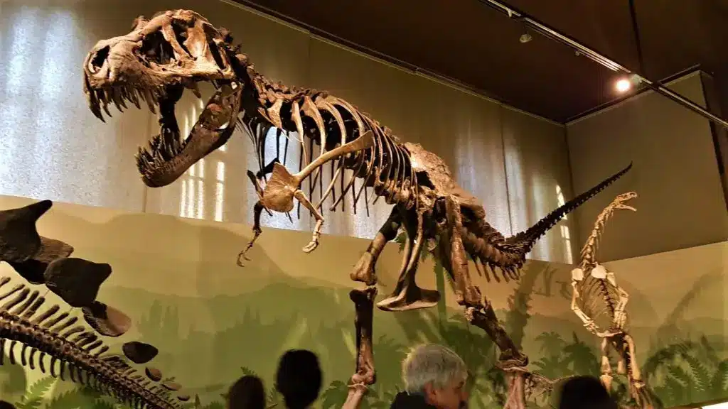 Museo civico di storia naturale