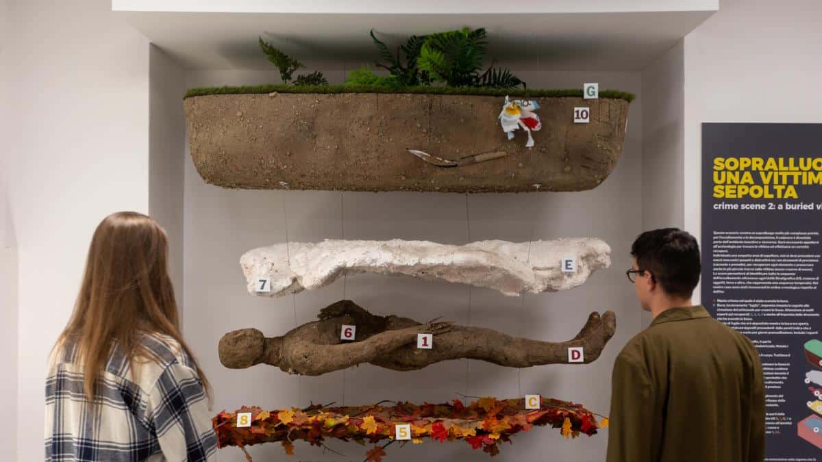 Musa Milano: arriva il museo su delitti, autopsie e resti umani