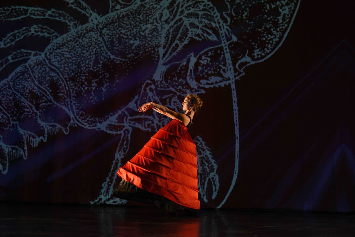 Magici spettacoli a Milano: Momix arriva con Alice