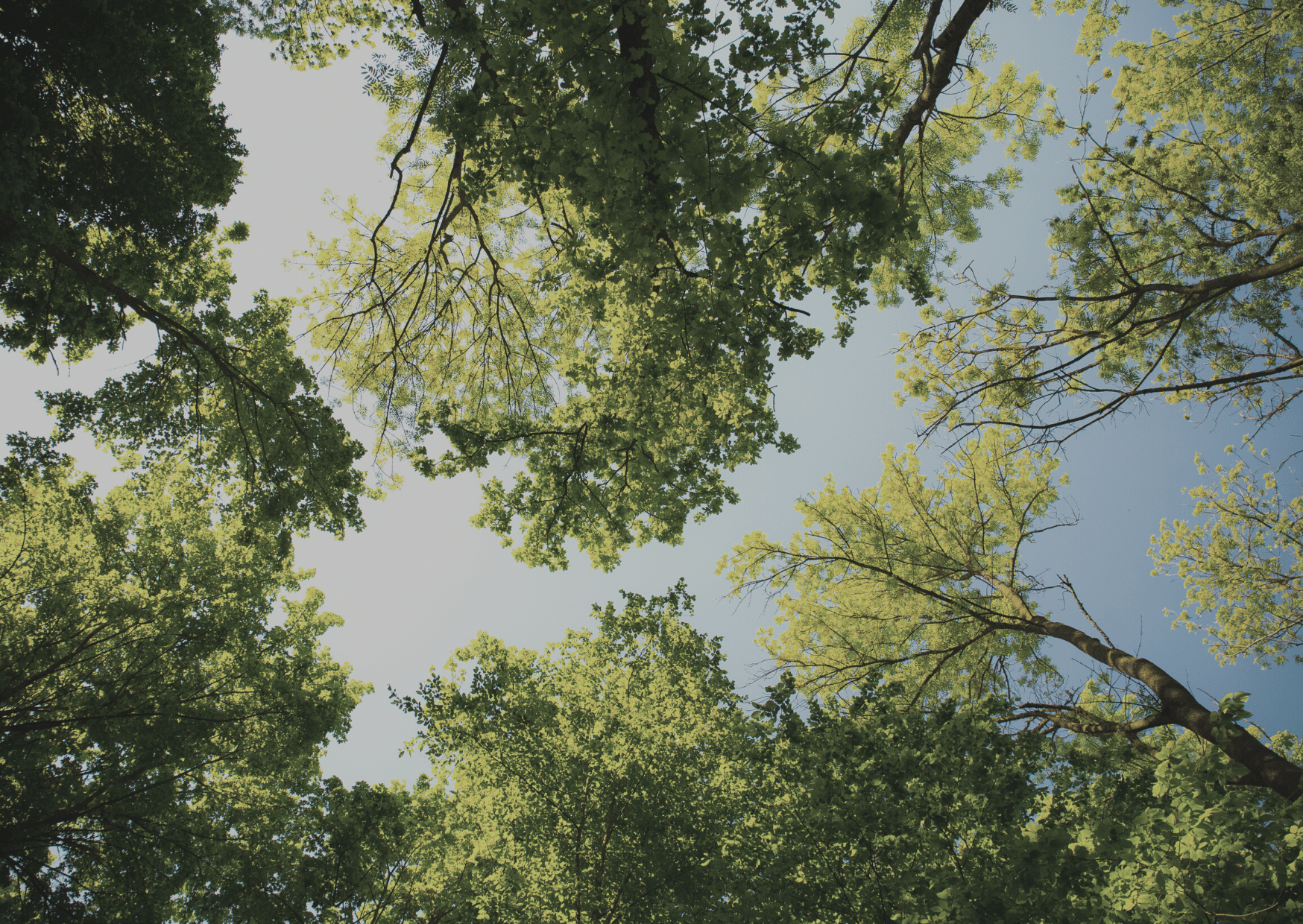 Innovative tecniche di bonifica a Milano