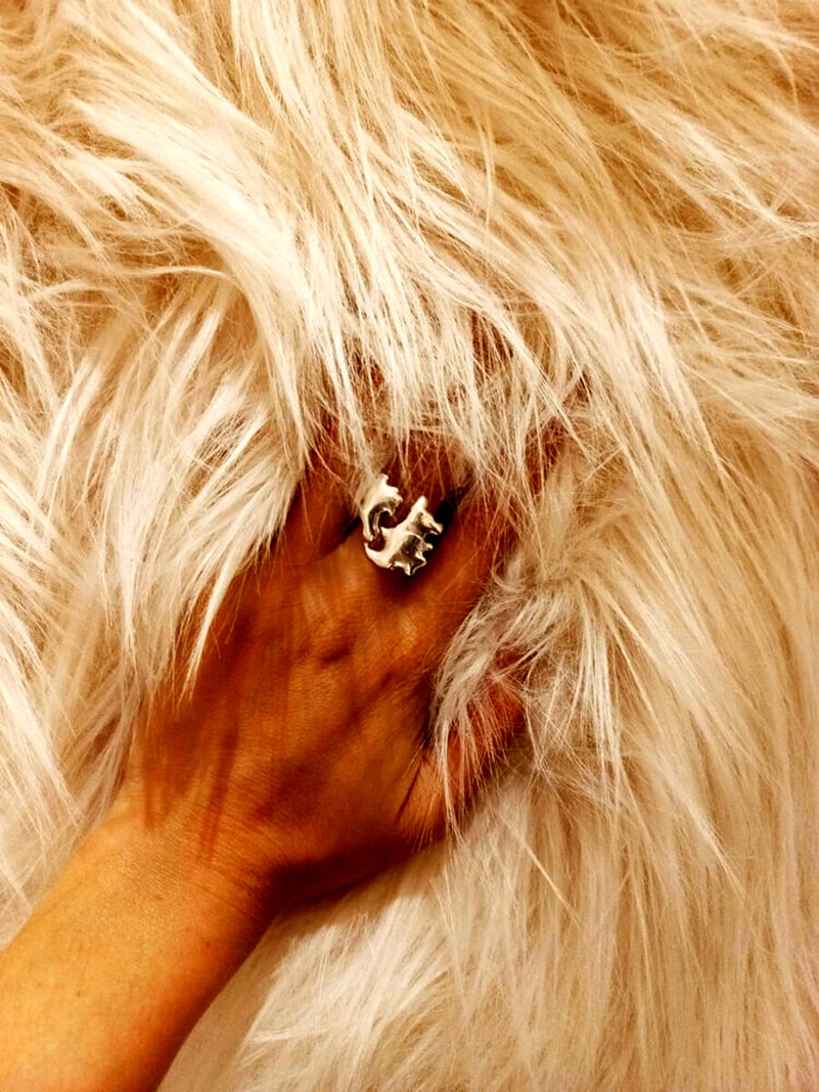 “Walking Treasures Tesori da passeggio”: 7° edizione