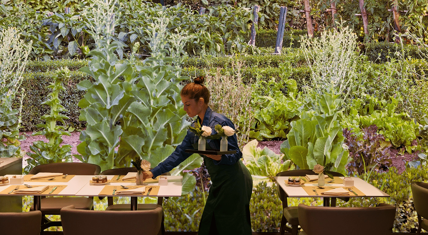 Come rendere un ristorante ecosostenibile: ecco alcuni consigli