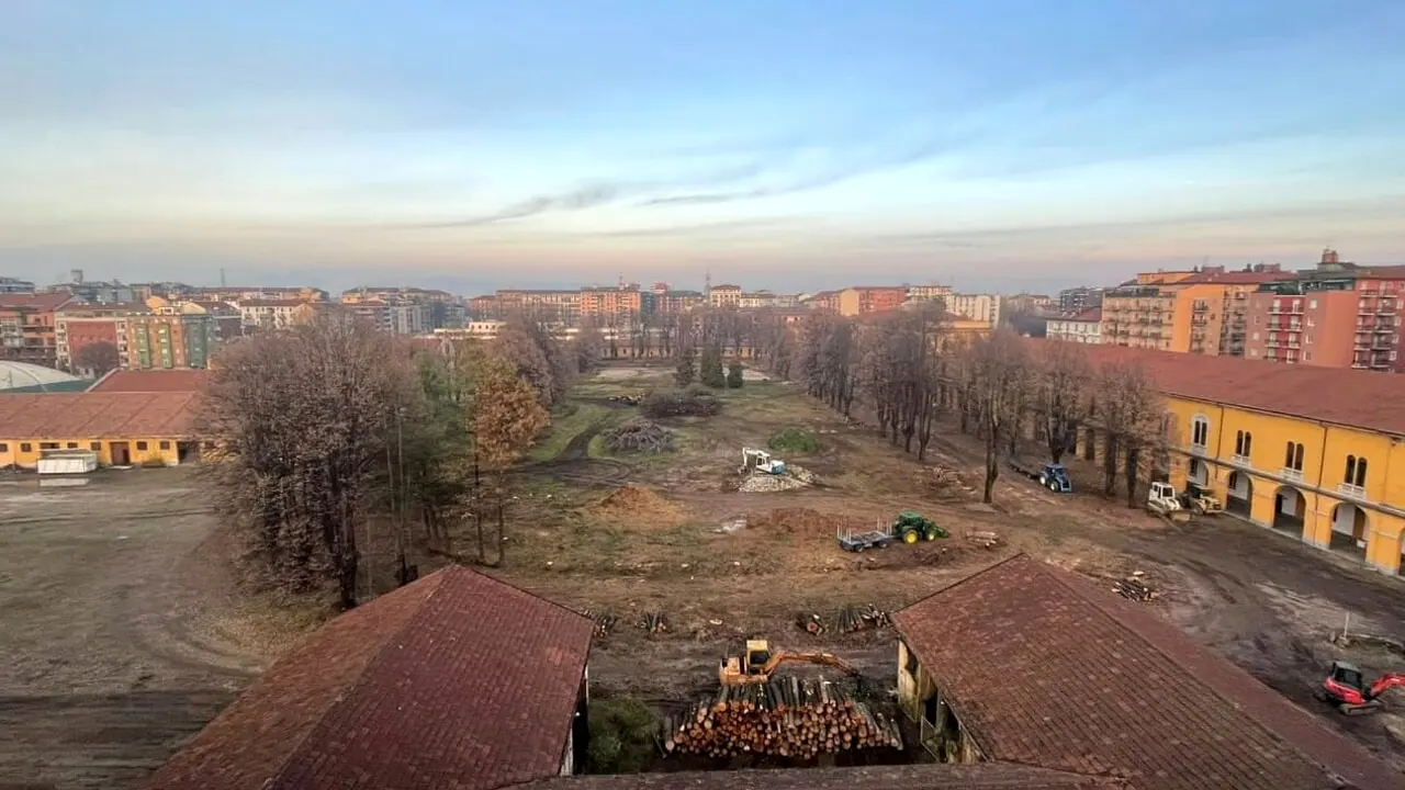 83 alberi abbattuti a Milano per costruire la nuova sede della polizia