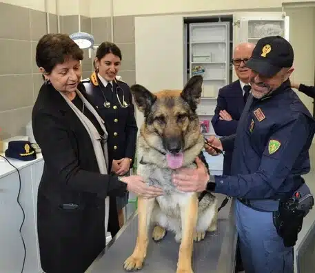 infermeria veterinaria polizia milano