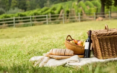 10 + 1 migliori posti dove fare un picnic a Milano