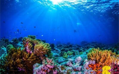 Acquario civico di Milano: percorso, cosa vedere e quanto costa