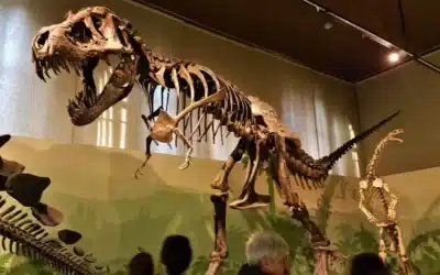 Dinosauri, arte e storia: tutto gratis con la Domenica al Museo a Milano