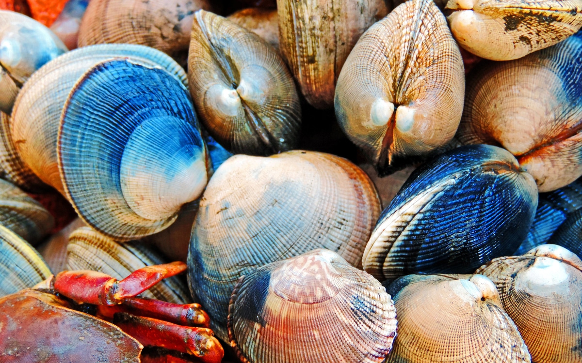 trattoria il marinaio