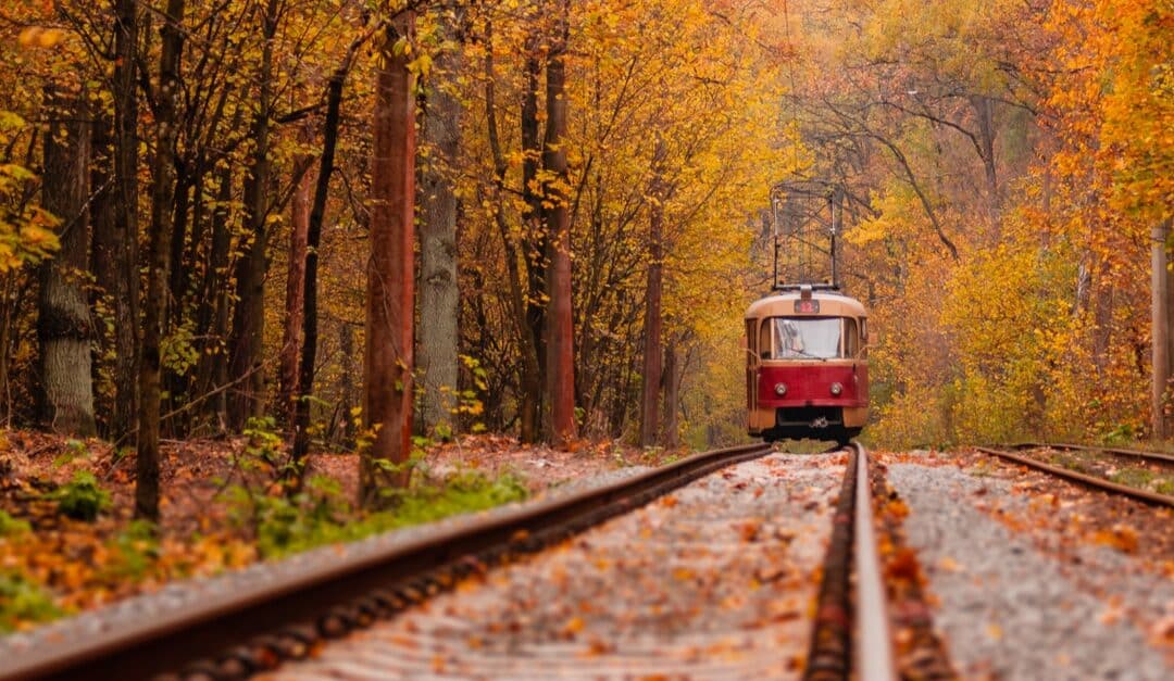 Pronti ad un viaggio autunnale sullo storico Treno del Foliage?