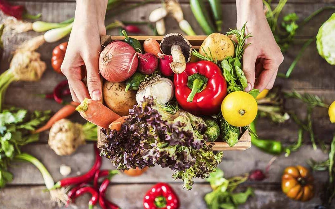 Il mercato della terra di Milano: tra cibi sani e aromi inconfondibili