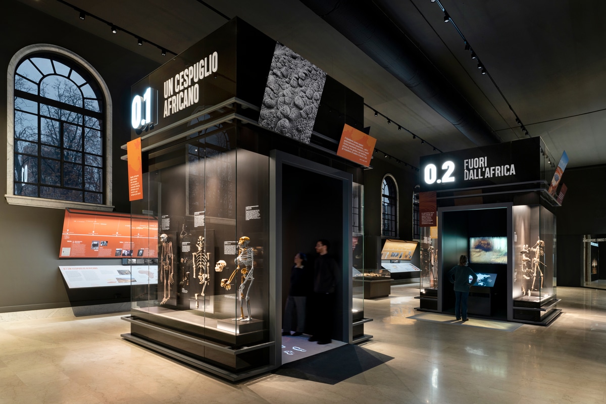 mostra evoluzione umana museo di storia naturale milano