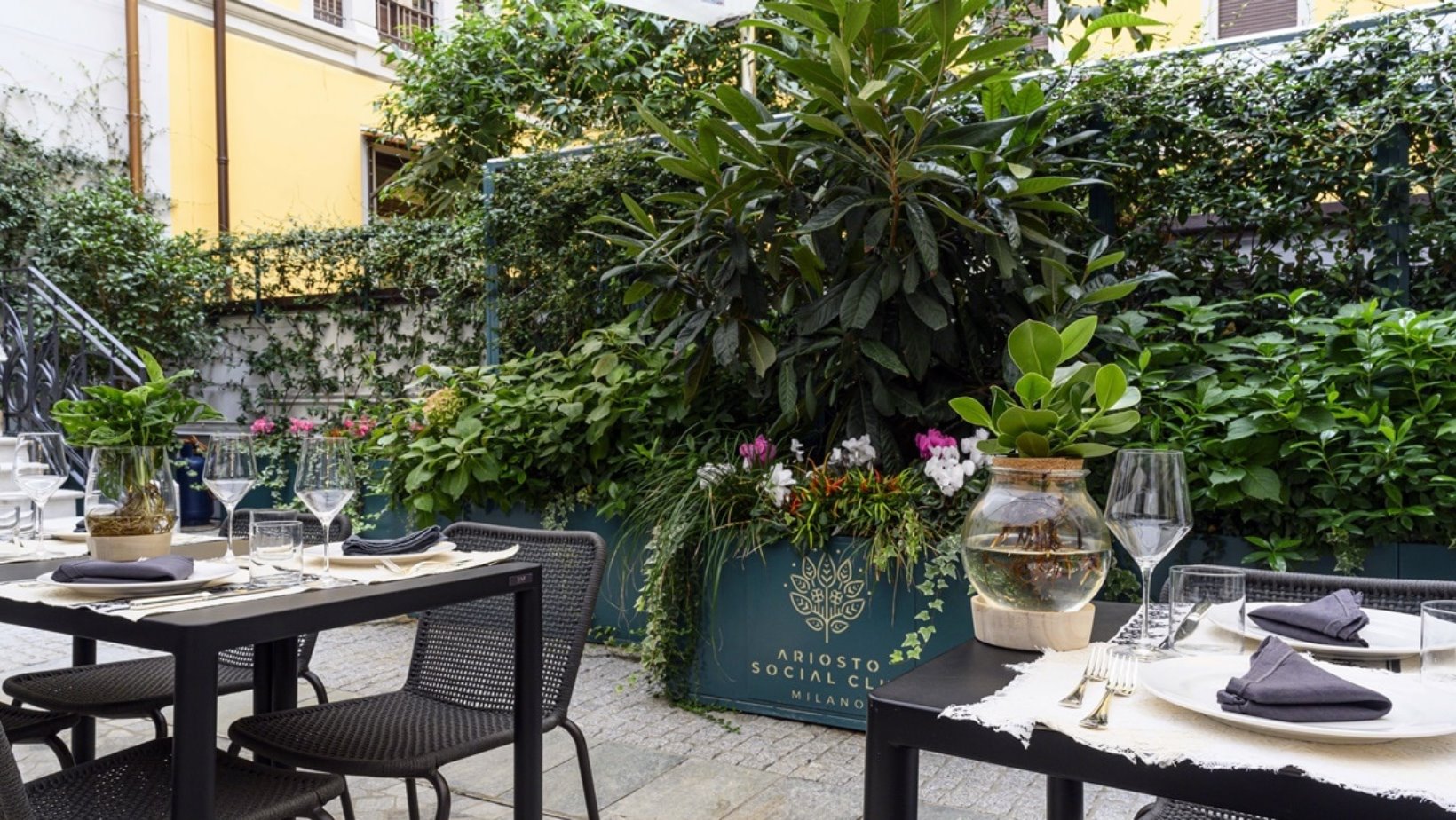 uovo di seppia 