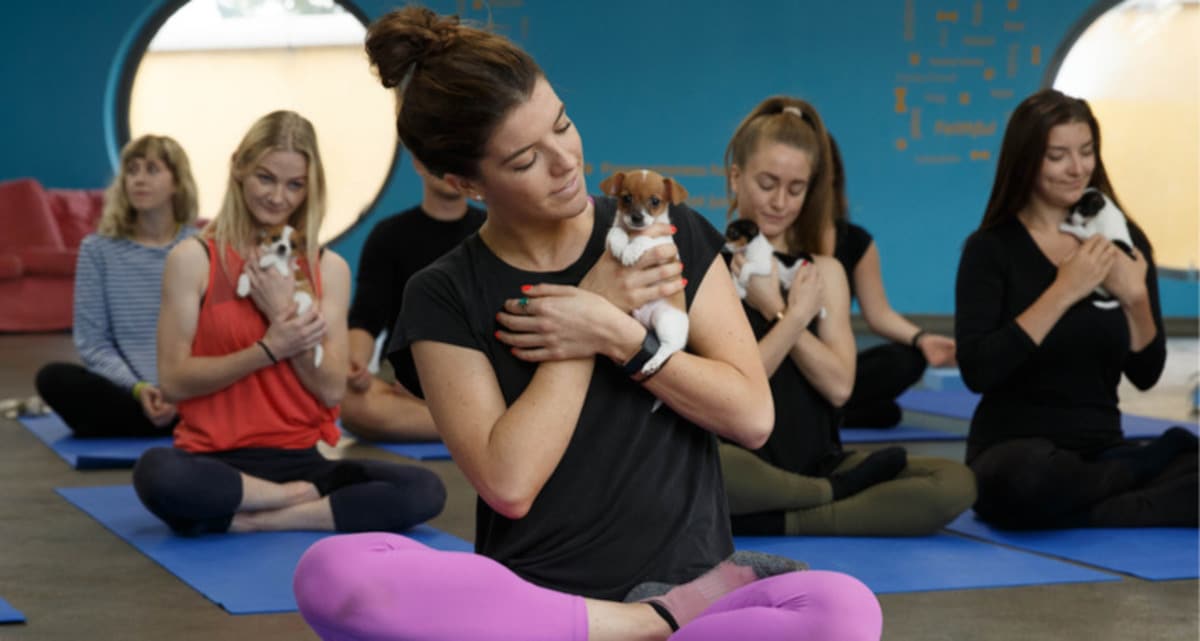 puppy yoga milano