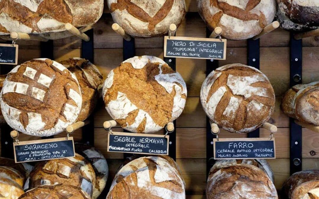Semina il pane: a Milano un pomeriggio con le mani in pasta