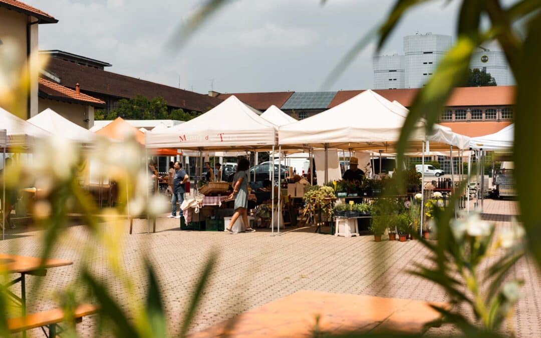 Immergetevi nei sapori del Mercato della Terra a Milano