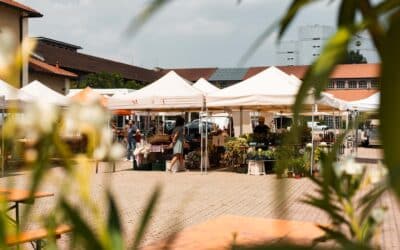 Immergetevi nei sapori del Mercato della Terra a Milano