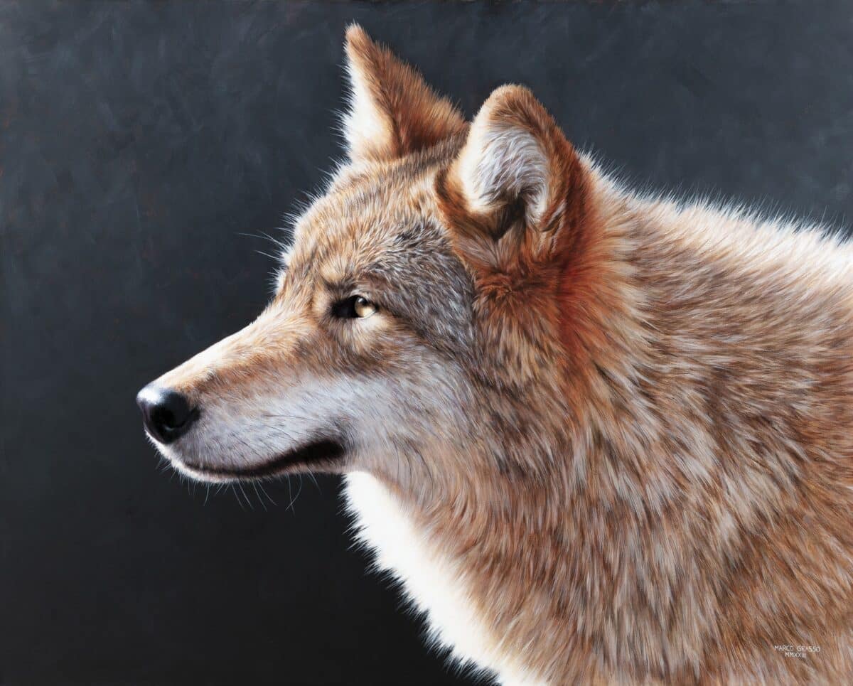 mimesis ritratto animale mostra