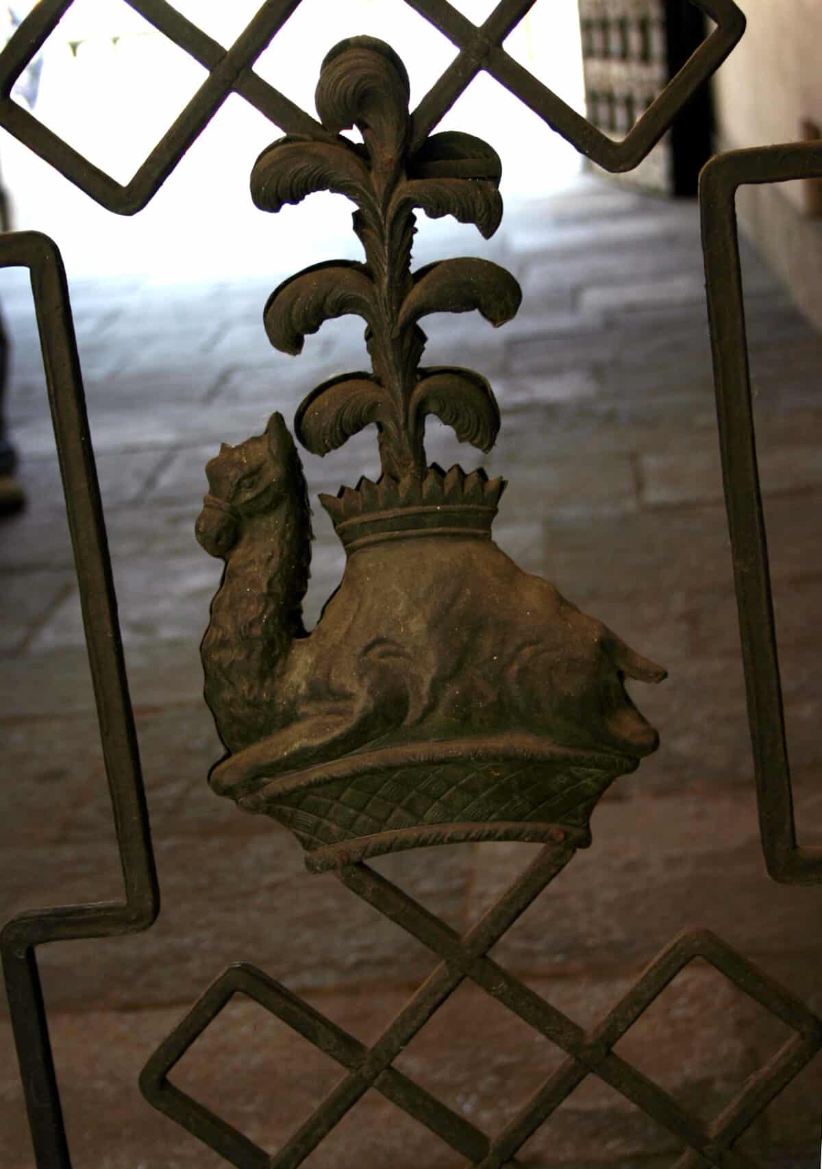 dromedario borromeo