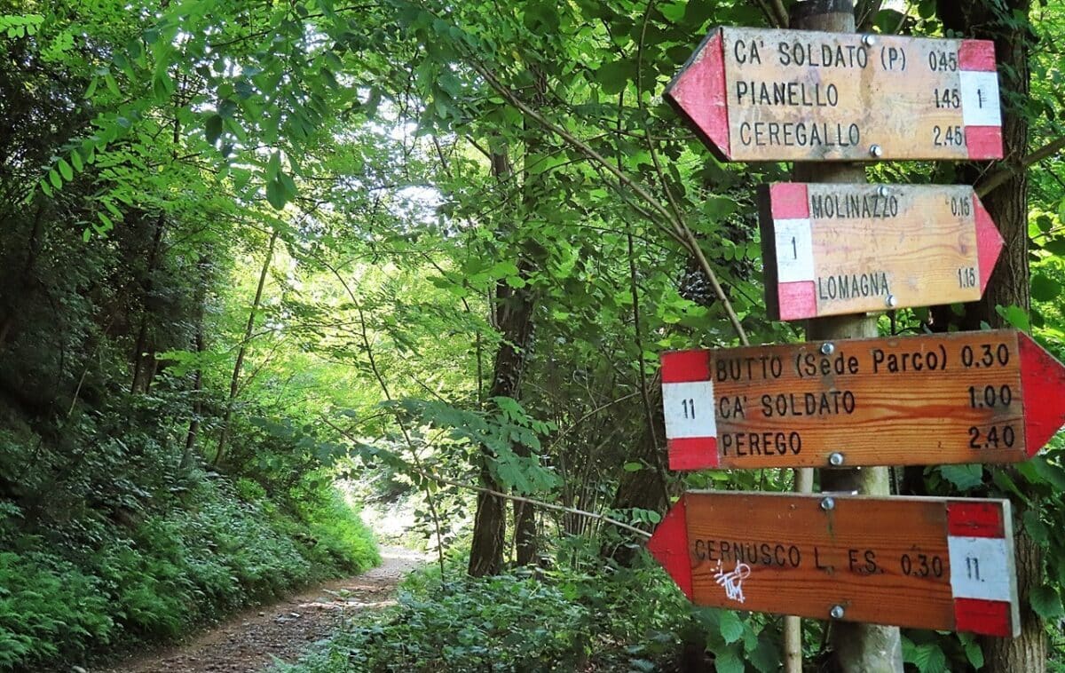 parco di montecchia