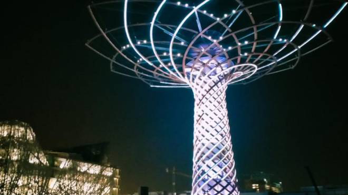 L'Albero della Vita si tinge di bianco