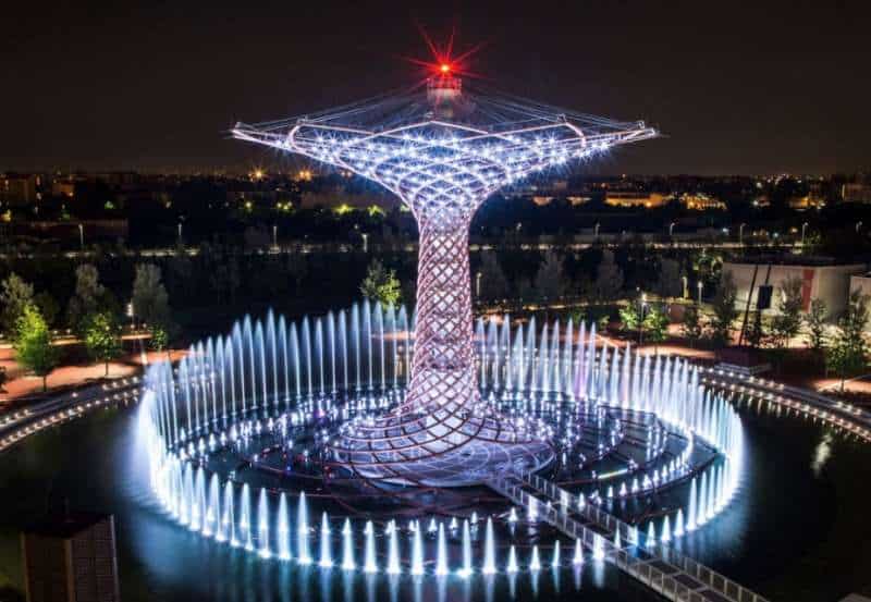 L'albero della vita si tinge di bianco