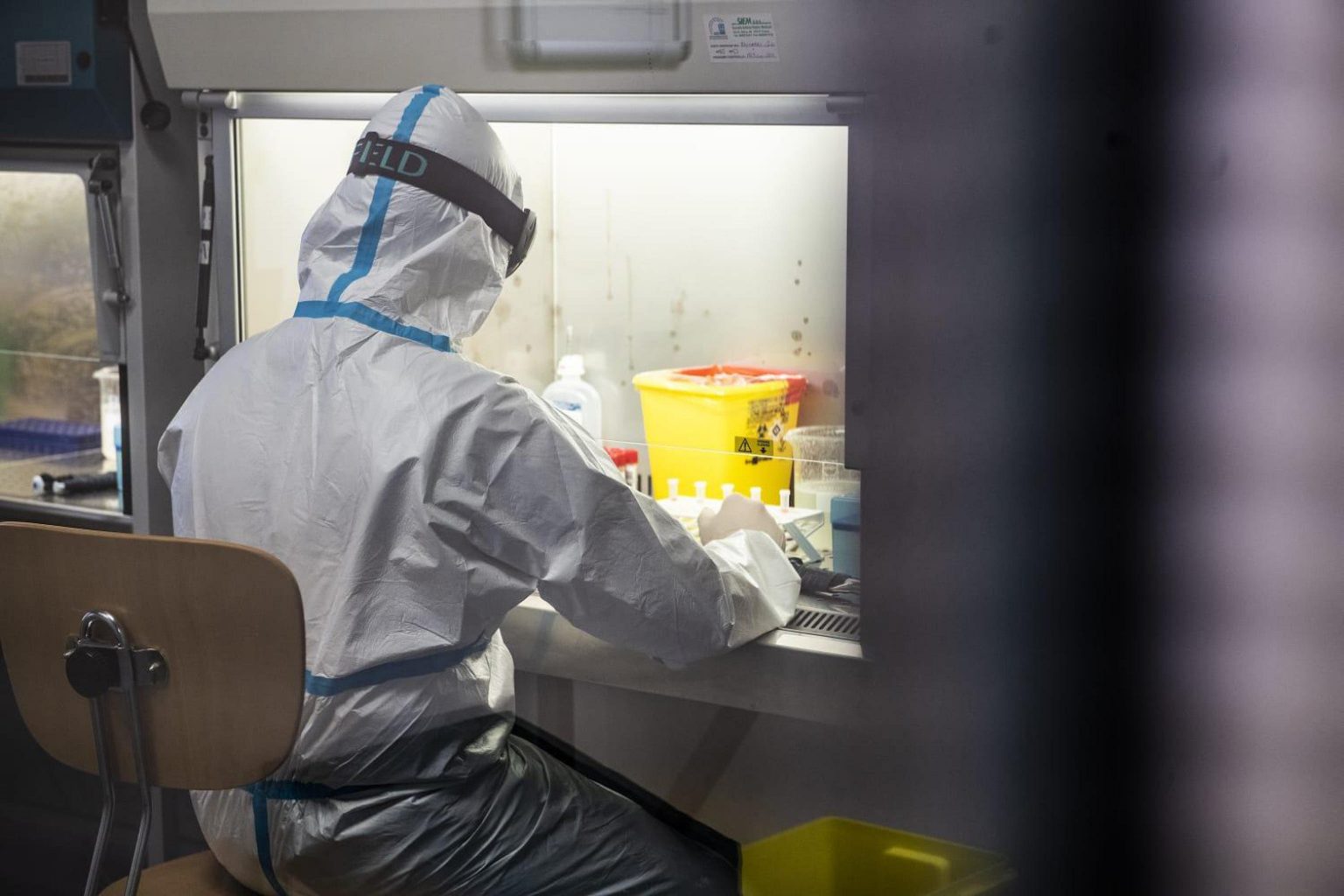 coronavirus variante italiana