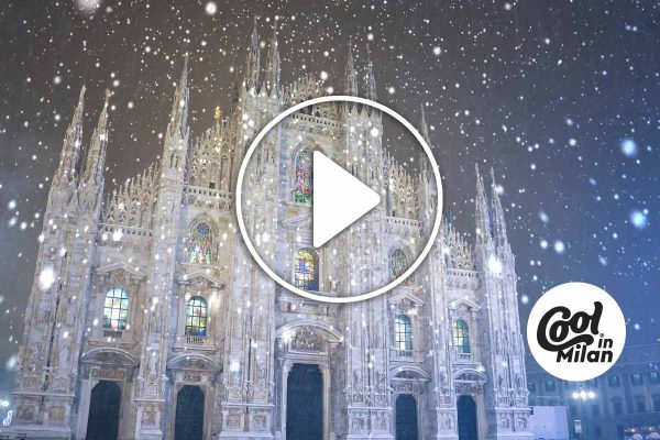 Alberi Natale Milano