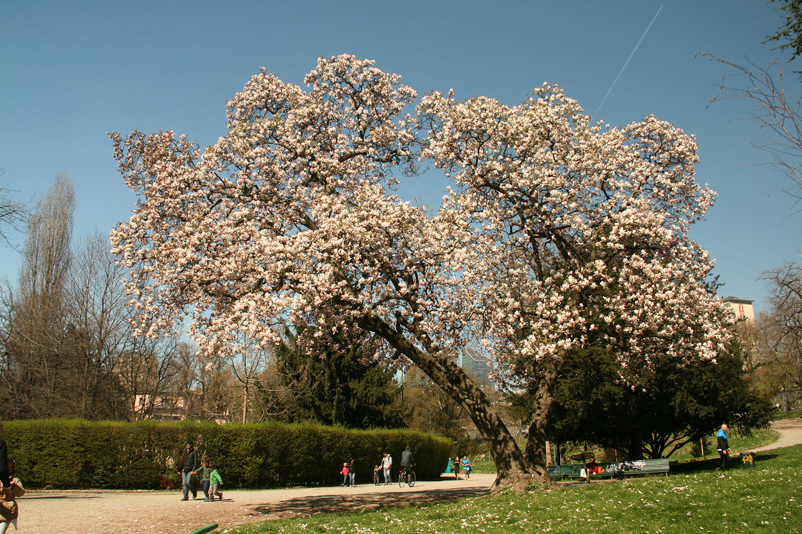 giardini pubblici idro montanelli milano