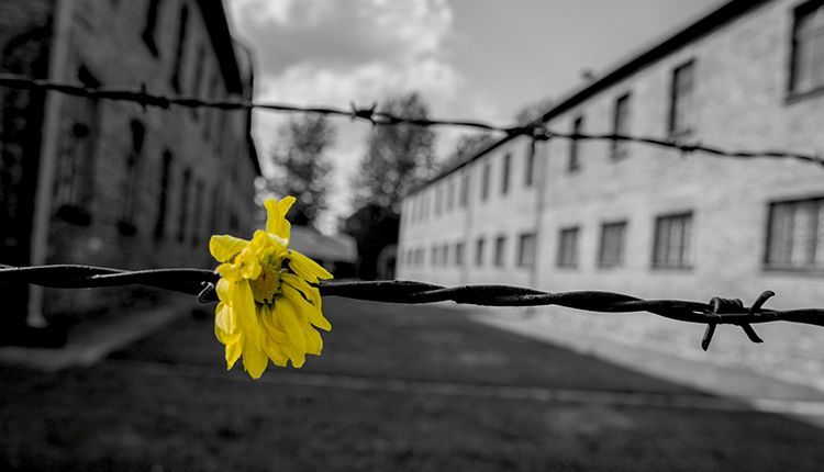 Il Giorno della memoria, 72 anni dopo il mondo continua a ricordare