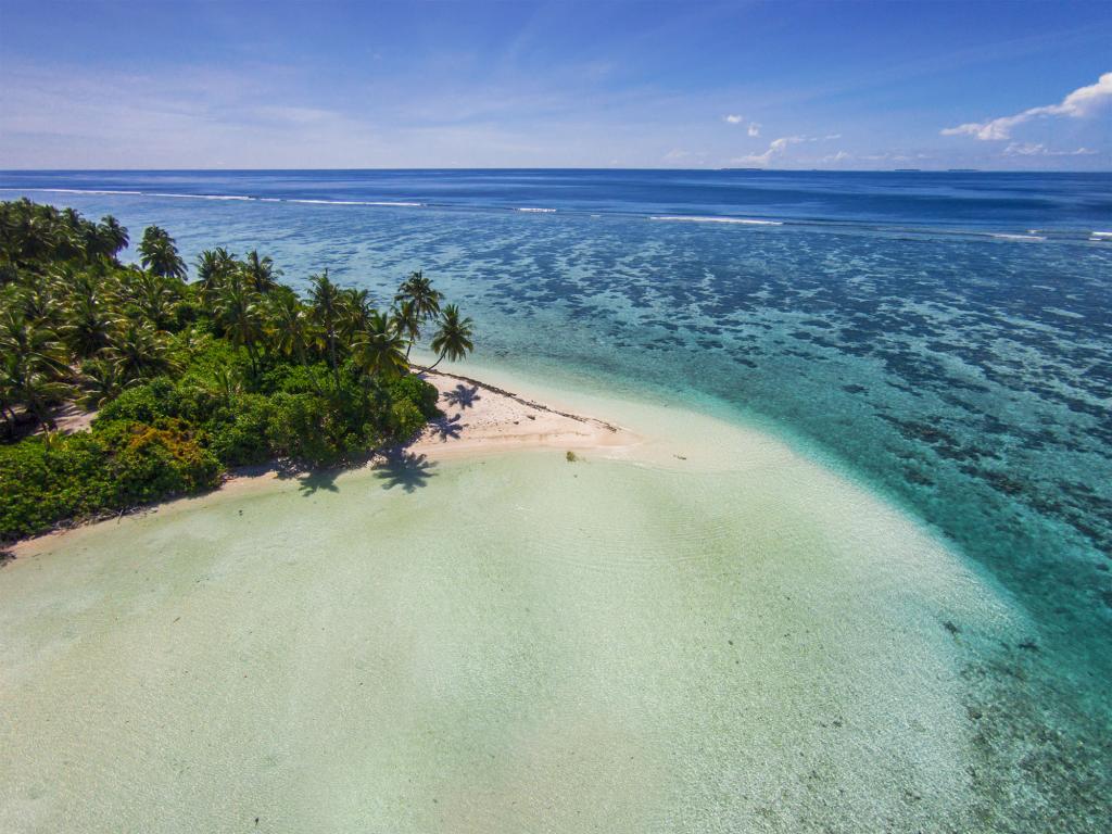 maldive ricerca
