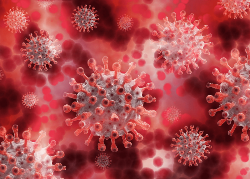 nuova variante coronavirus