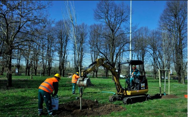 Milano: in arrivo quasi 28 mila piante con il piano ForestaMi