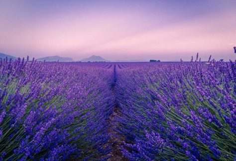 lombardia natura città d'arte