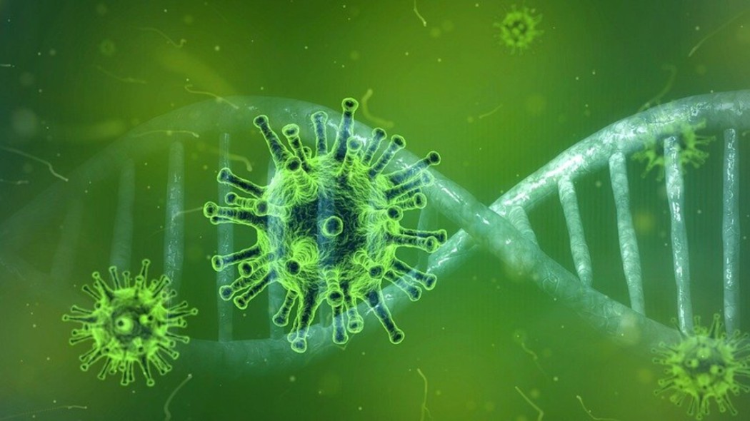 coronavirus mutazione covid