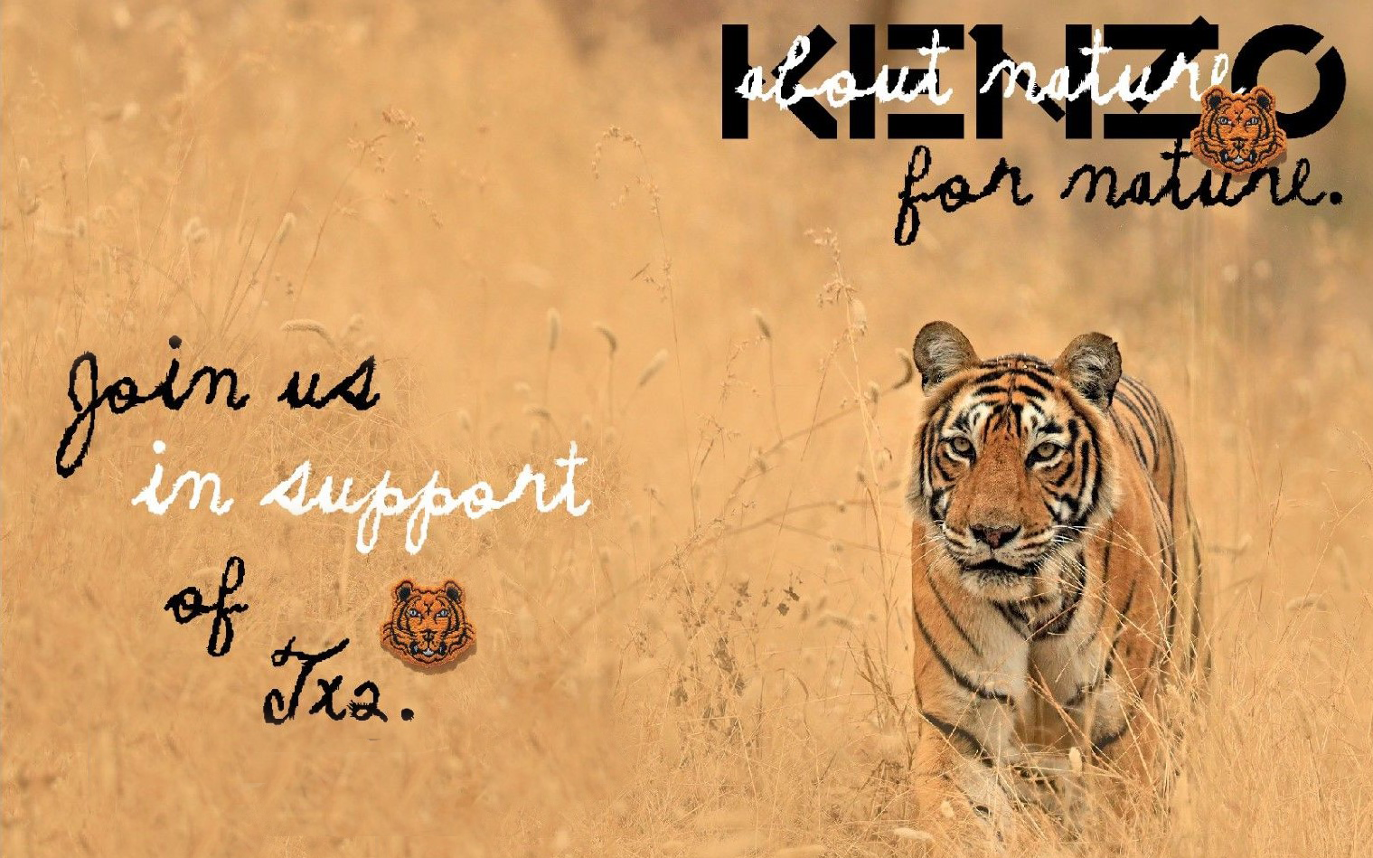 kenzo-tx2