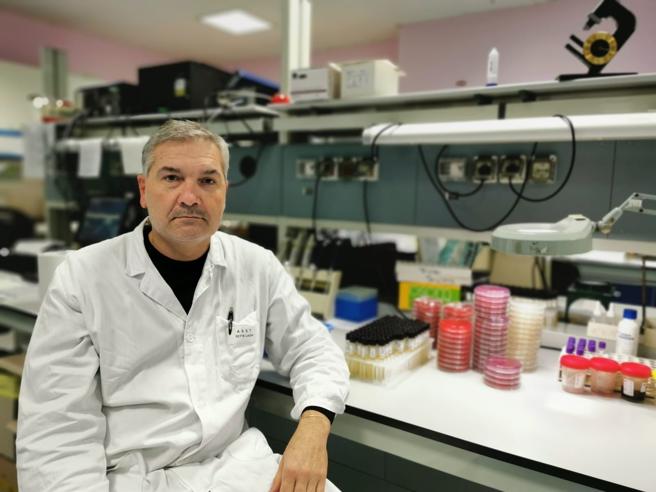 nuova variante coronavirus maggi