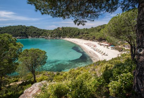 isola d'elba covid free